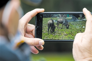 海南热带野生动植物园引进一批国内外珍稀野生动物