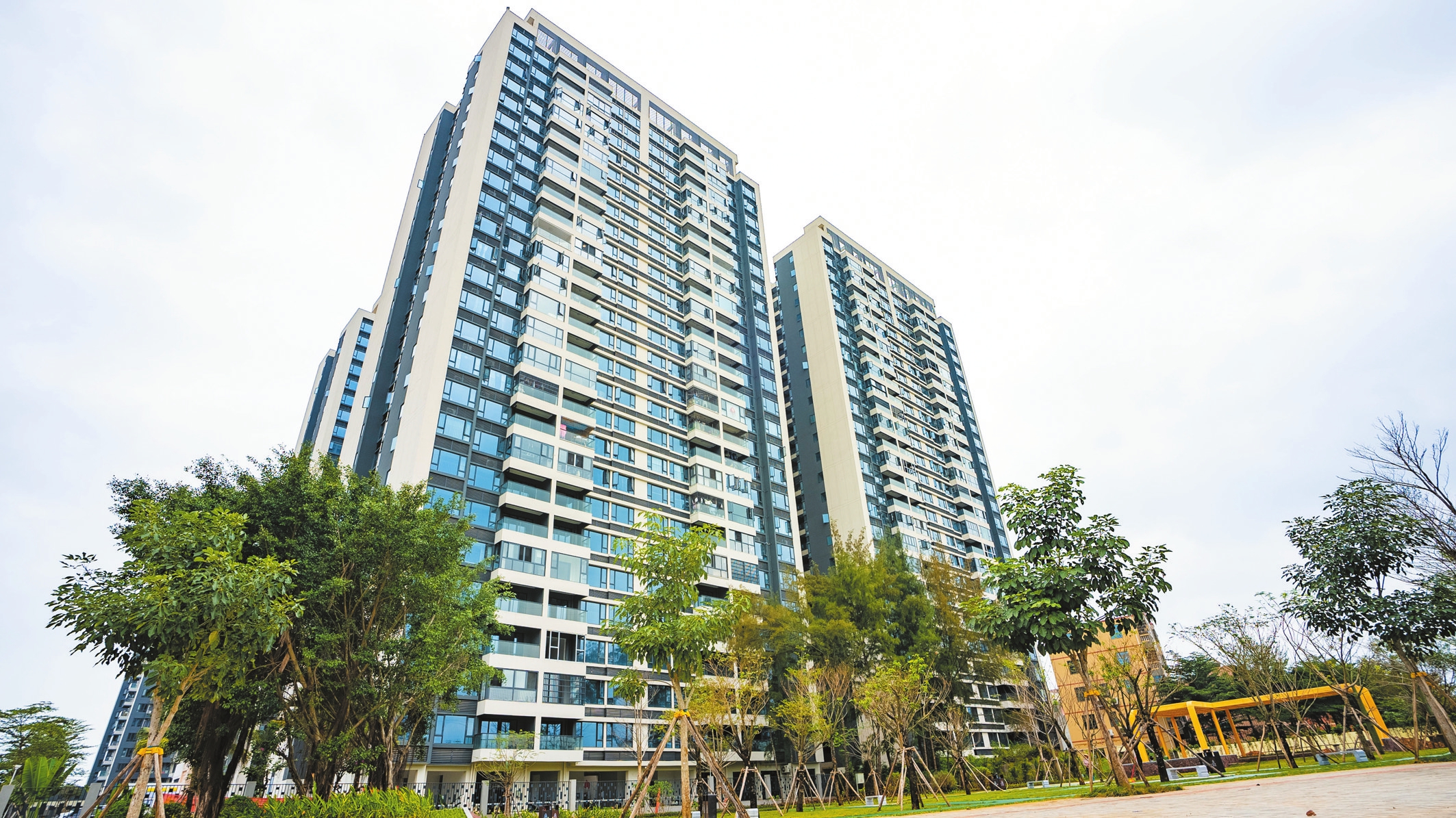 海口日报数字报·海口网