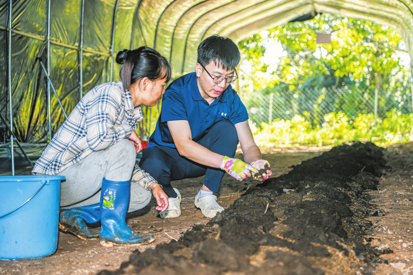 海口日报数字报·海口网