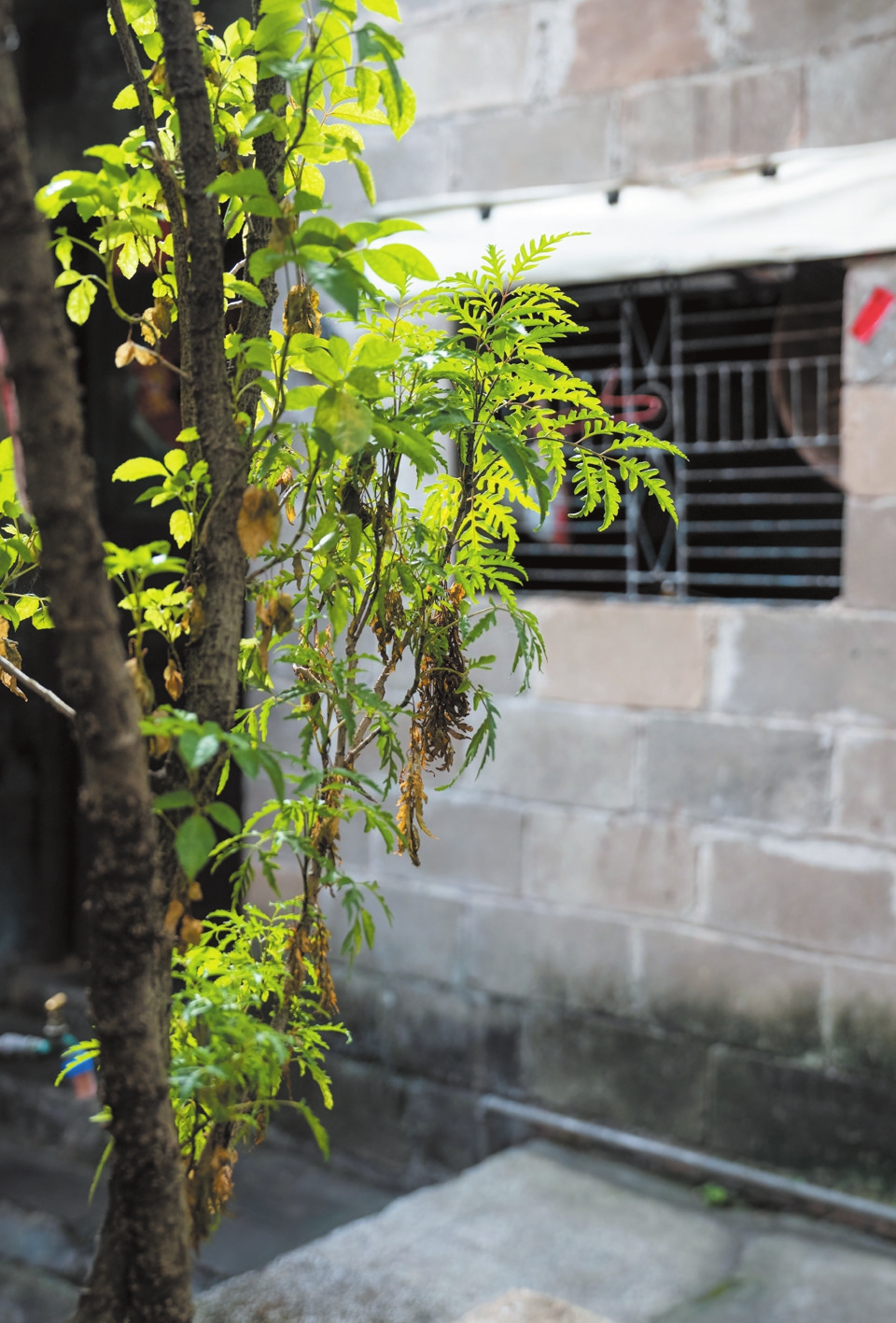 吴典故居庭院一隅吴典故居厢房雕花横梁一端竖立在吴典故居门口的文物