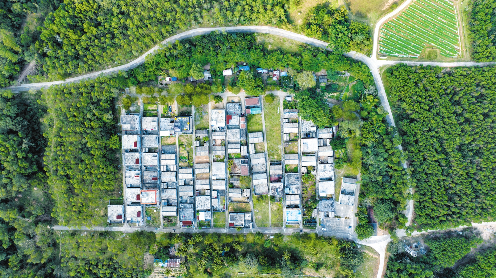 海口日报数字报·海口网