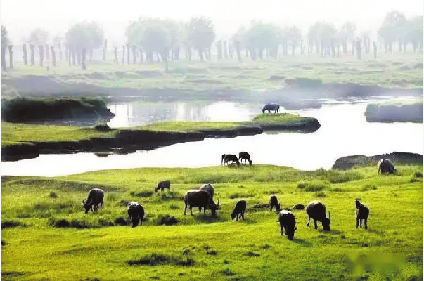 海口日报数字报·海口网