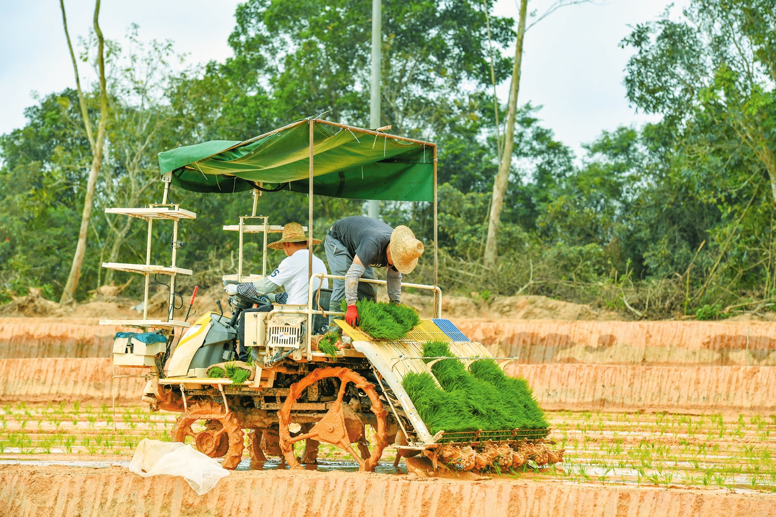 海口日报数字报·海口网