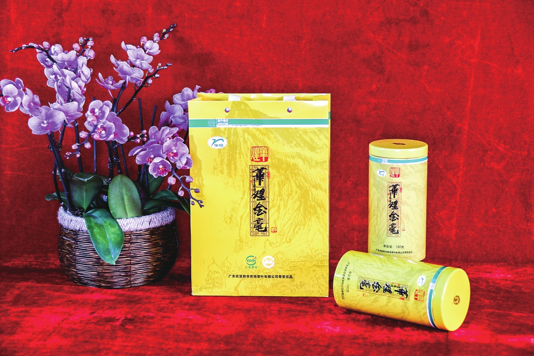 海口日报数字报·海口网